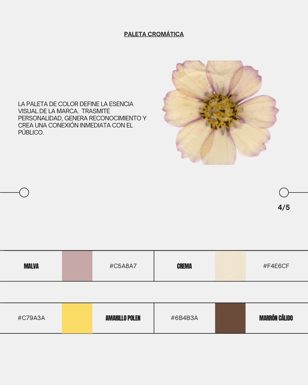 post de instagram carrusel branding kit minimalista blanco negro 4